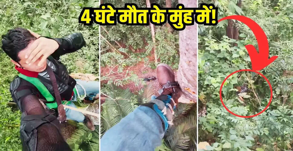 भूखे बाघ से बचने के लिए पेड़ पर लटके व्यक्ति का वायरल वीडियो