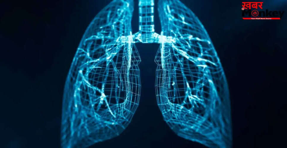 फेफड़ों की सेहत को बनाए रखने के उपाय: जानें एक्सपर्ट की सलाह