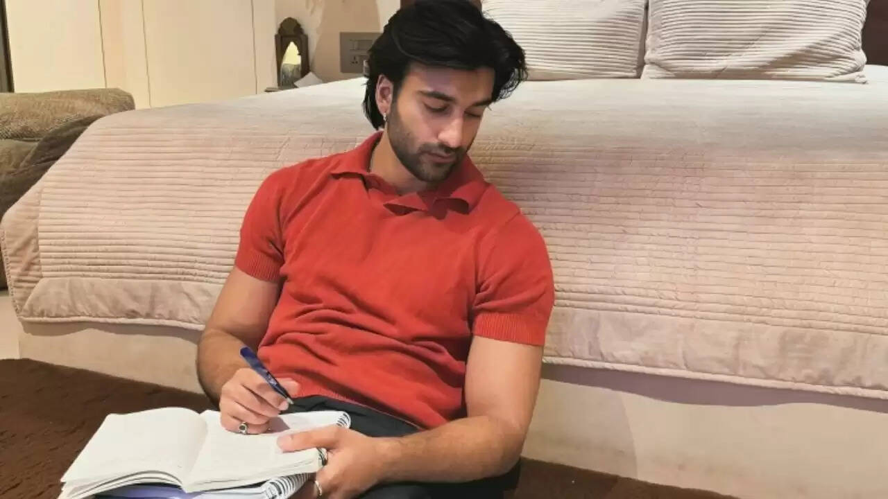 मीजान जाफरी: बॉलीवुड में नेपो किड से एक सफल अभिनेता तक का सफर