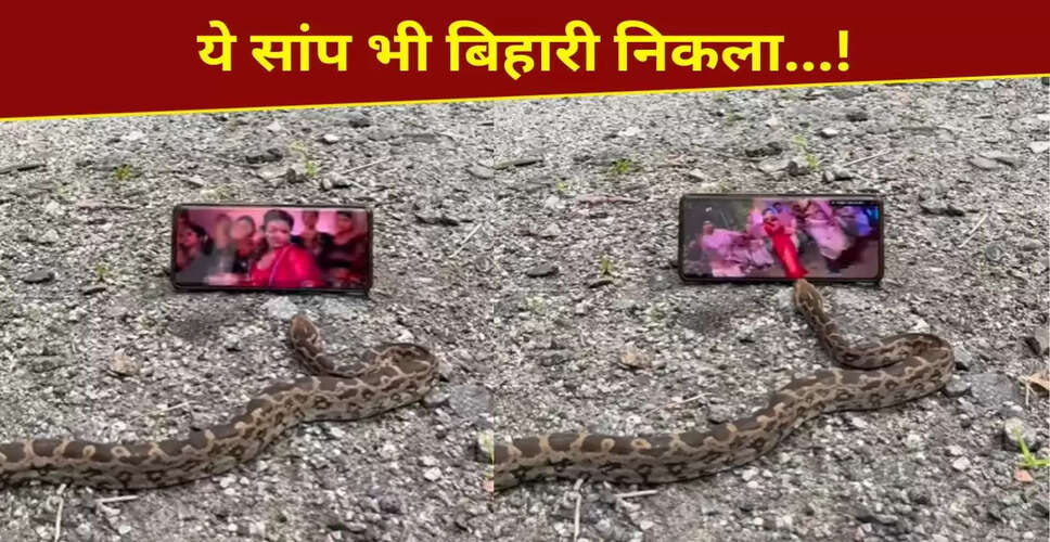 भोजपुरी गाने पर डांस करता सांप, वायरल वीडियो ने मचाई धूम
