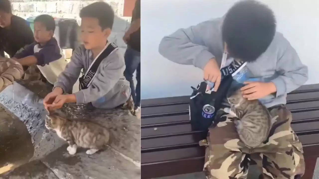 बच्चे की दया से भरा वीडियो: नन्ही बिल्ली को पानी पिलाते हुए दिल जीत लिया