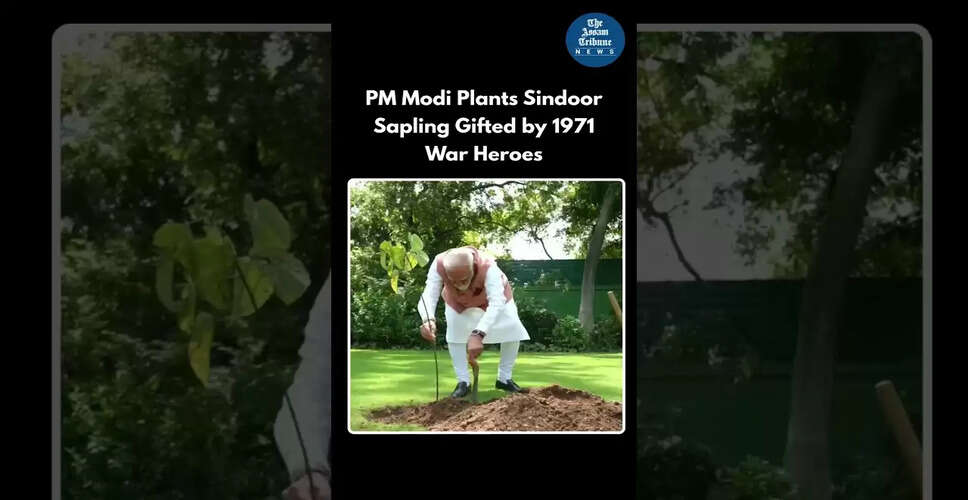खेल जगत की नई तस्वीर: वीडियो सामग्री का प्रभाव