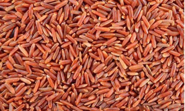 लाल चावल: स्वास्थ्य के लिए लाभकारी अनाज