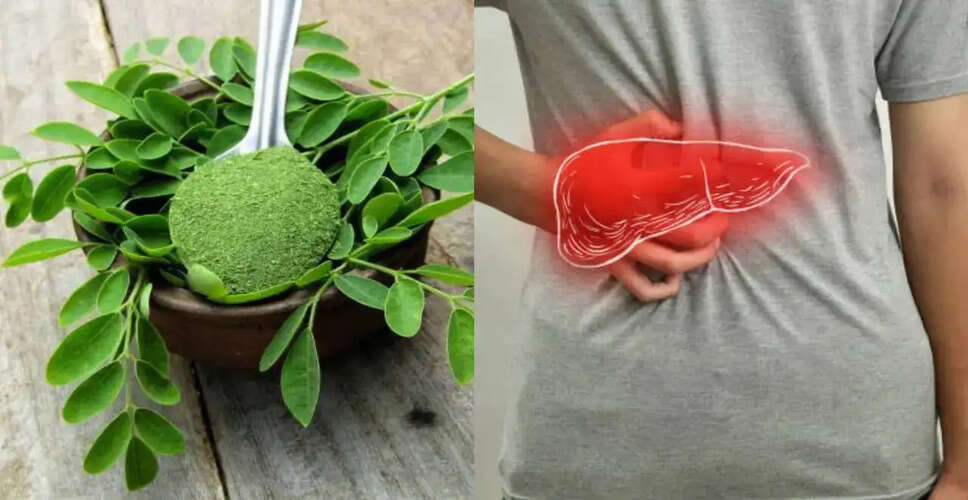 मोरिंगा के पत्तों से फैटी लिवर के जोखिम को कम करने के उपाय
