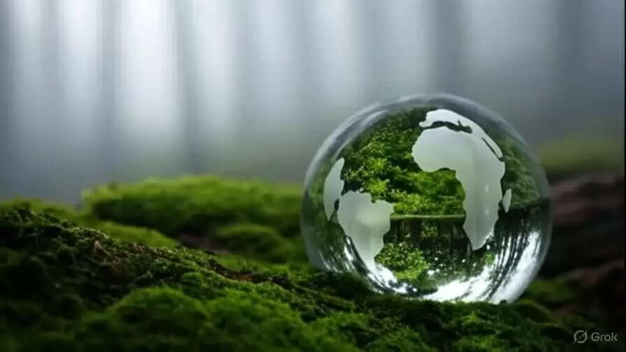 विश्व पर्यावरण दिवस 2025: प्रेरणादायक उद्धरण, संदेश और साझा करने के लिए विचार