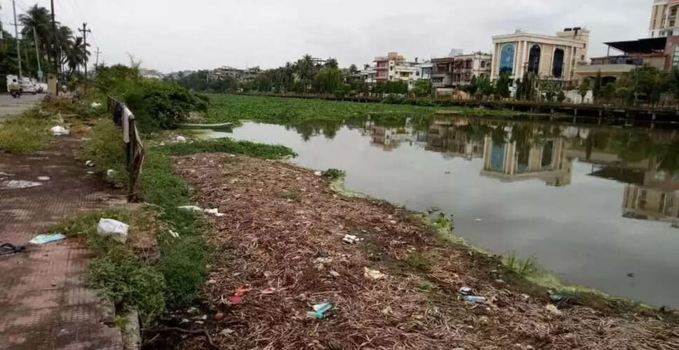 गुवाहाटी का बोरसला बील: एक प्राकृतिक धरोहर का संकट