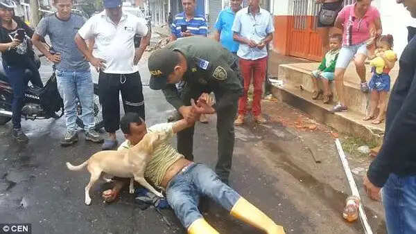 कोलंबिया में कुत्ते की वफादारी ने जीता दिल