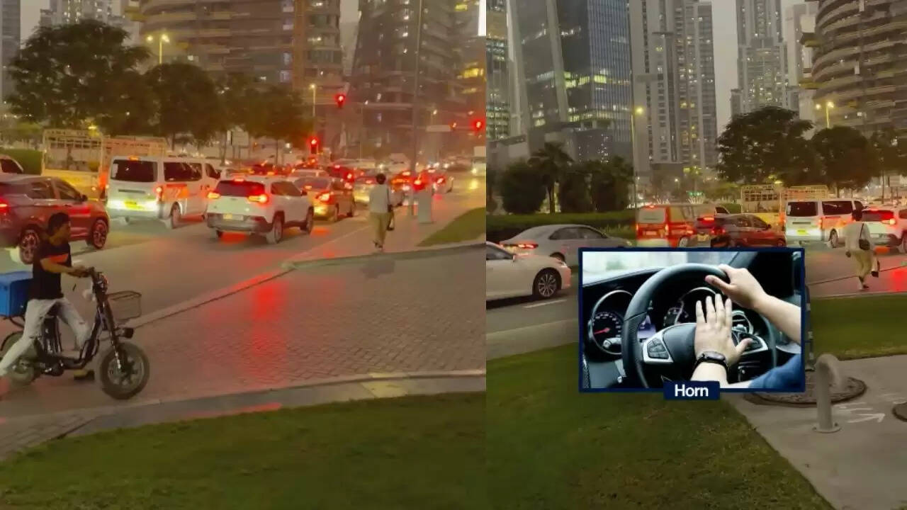 दुबई के ट्रैफिक अनुशासन ने भारतीयों को किया प्रभावित