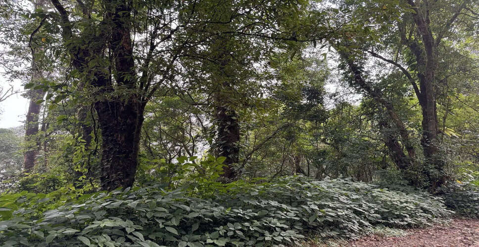 नागालैंड में जैव विविधता की सुरक्षा के लिए सामुदायिक भागीदारी की आवश्यकता