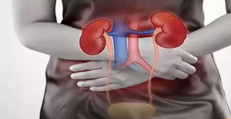 किडनी स्वास्थ्य: पहचानें संकेत जो गंभीर समस्याओं का इशारा करते हैं