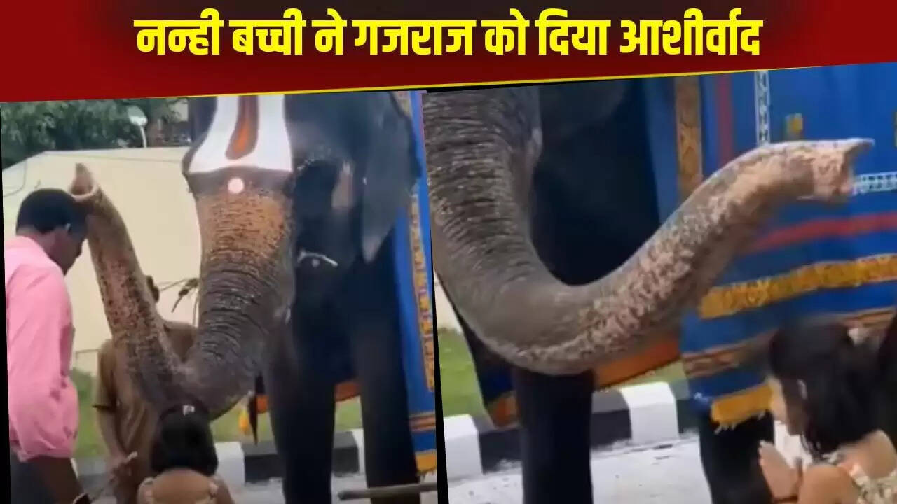 बच्ची और हाथी का अनोखा आशीर्वाद: वायरल वीडियो ने जीते दिल