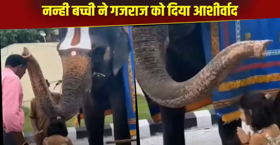 बच्ची और हाथी का अनोखा आशीर्वाद: वायरल वीडियो ने जीते दिल