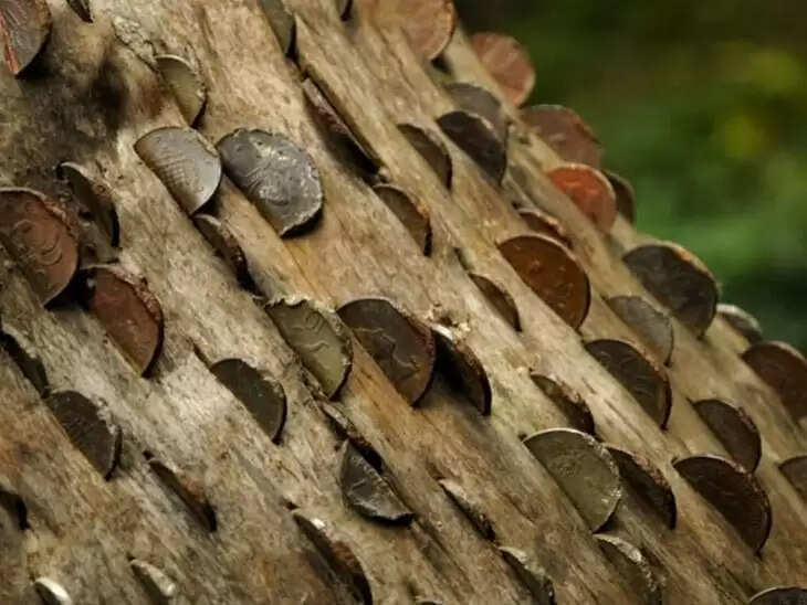 पैसे वाला पेड़: एक अनोखा टूरिस्ट स्पॉट