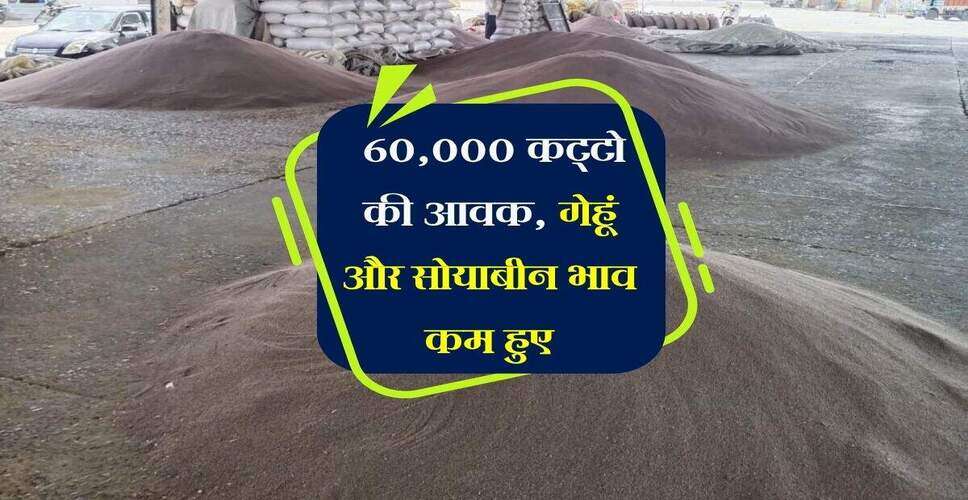 कोटा मंडी में कृषि जिंसों की स्थिरता, लहसुन की आवक में कमी