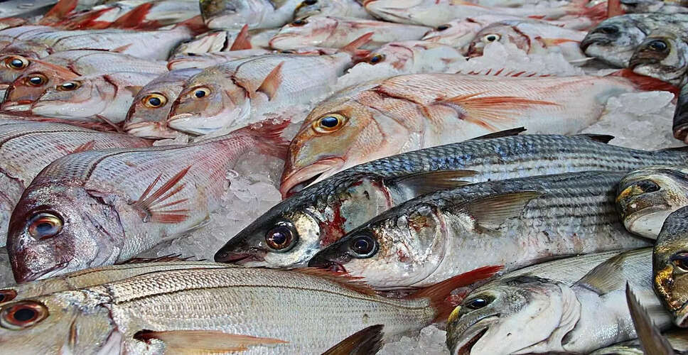 मेघालय में बांग्लादेश से अवैध मछली के परिवहन पर प्रतिबंध