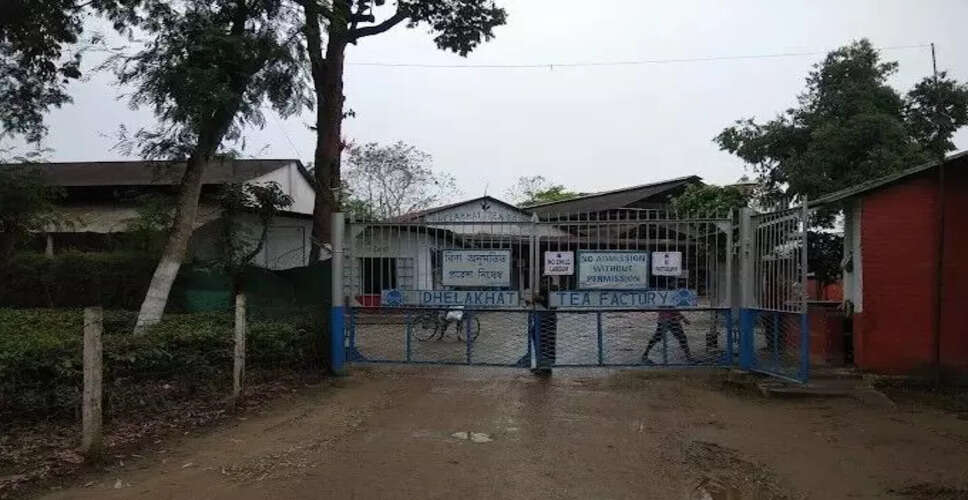 चाय बागान में चोरी की बढ़ती घटनाओं पर चिंता जताई गई