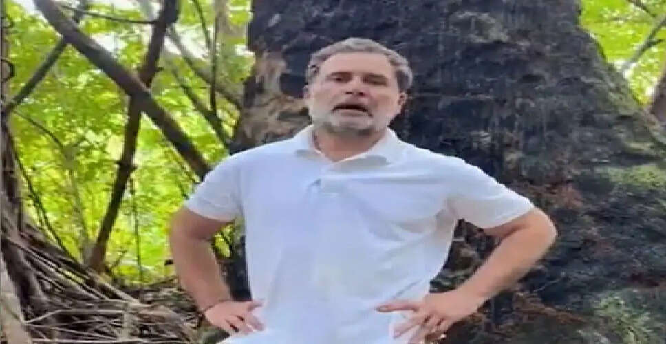 राहुल गांधी ने ग्रेट निकोबार परियोजना पर उठाए गंभीर सवाल