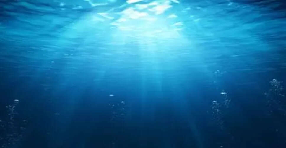 गहरे समुद्र में खनन के पर्यावरणीय जोखिमों का नया अध्ययन