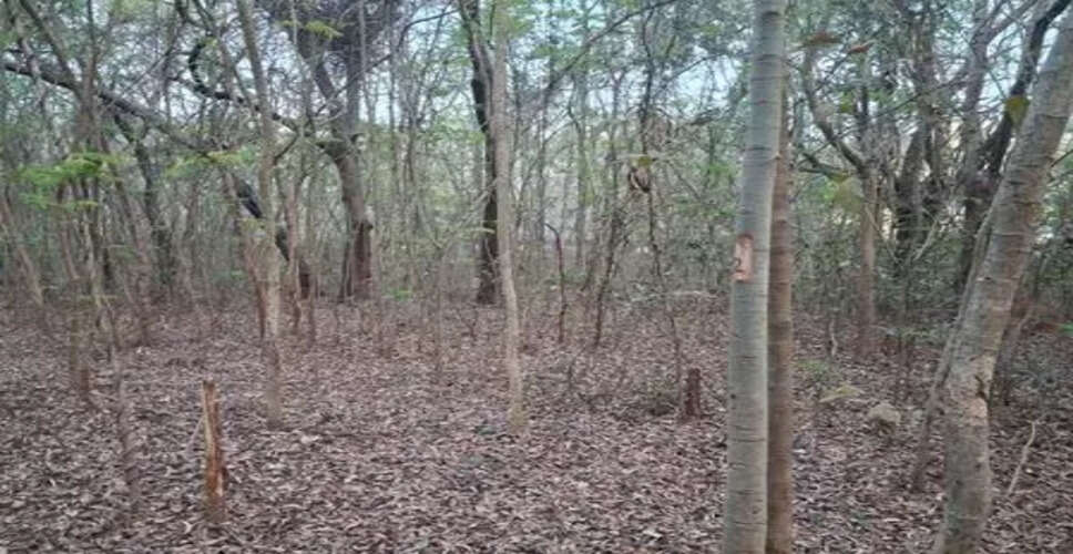 ओडिशा में NIT के लिए 2000 पेड़ों की कटाई पर पर्यावरण मंत्रालय की चिंता