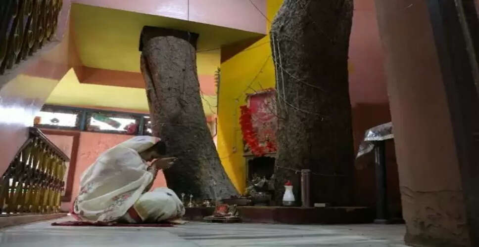 जबलपुर में अनोखा ट्री-हाउस: 125 साल पुराने पीपल के पेड़ के बीच बना घर