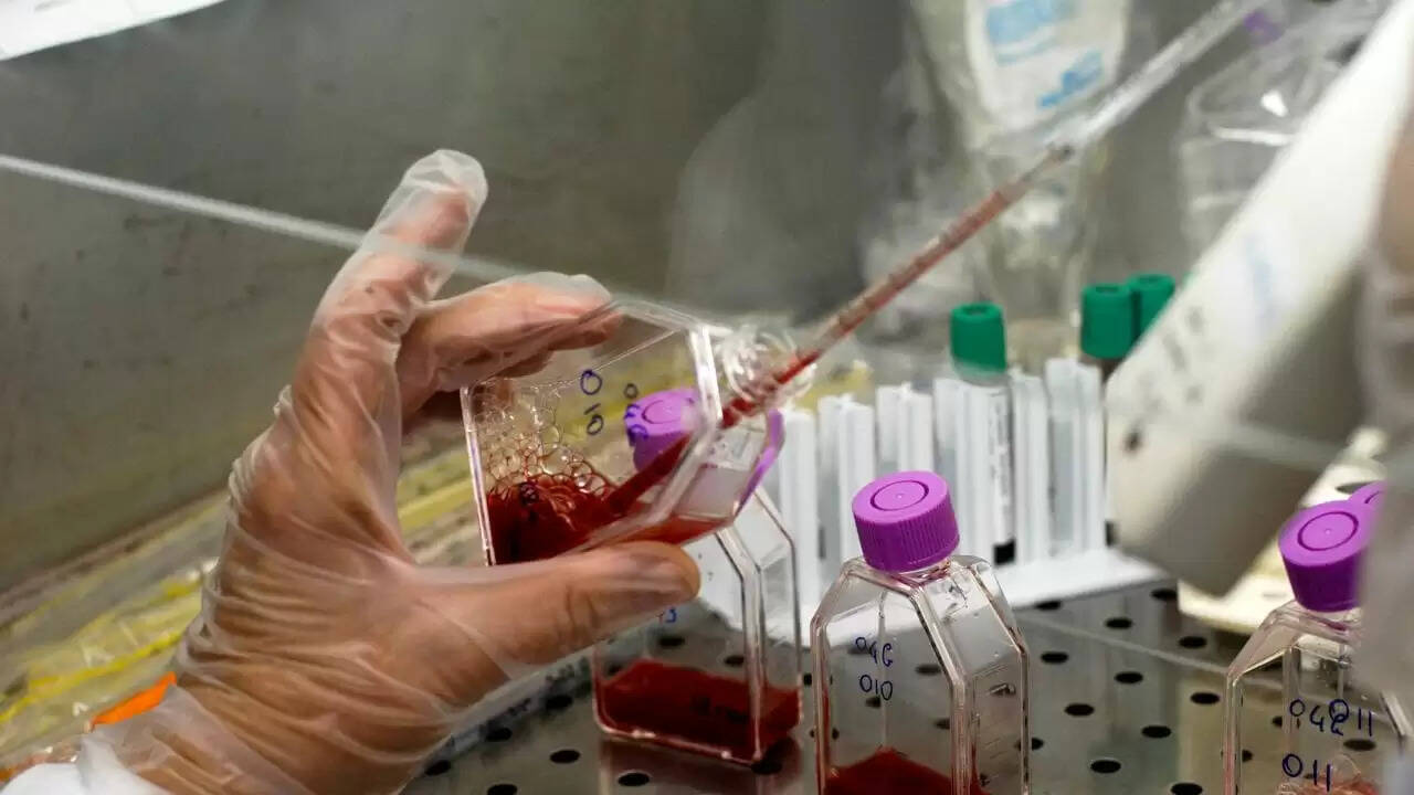 स्टेम सेल बैंकिंग: नवजात बच्चों में जेनेटिक बीमारियों की पहचान का नया तरीका