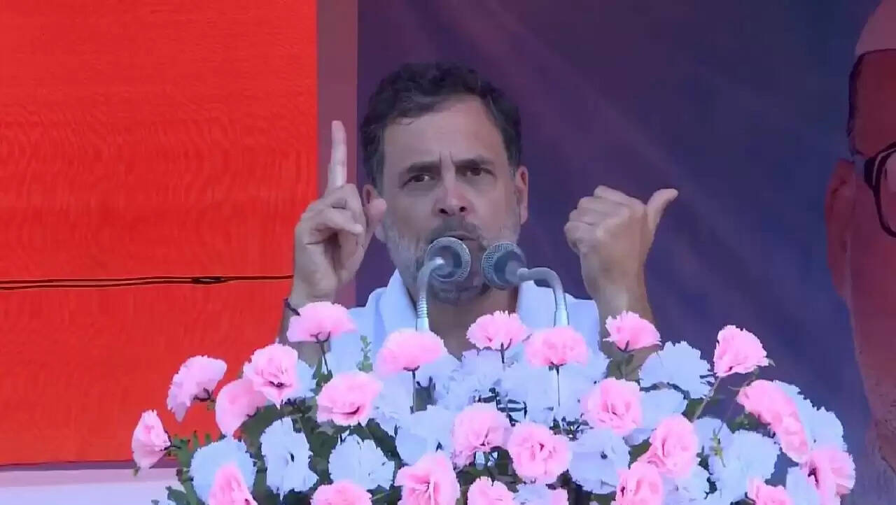 राहुल गांधी ने बिहार में युवाओं को रोजगार की आवश्यकता पर जोर दिया