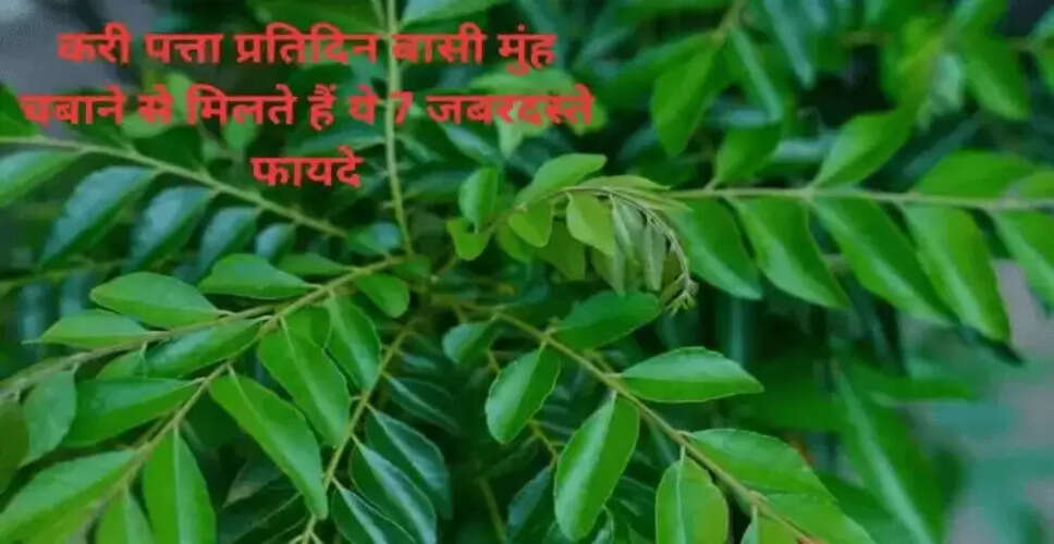 करी पत्ते के स्वास्थ्य लाभ: जानें कैसे यह आपकी सेहत को सुधार सकता है