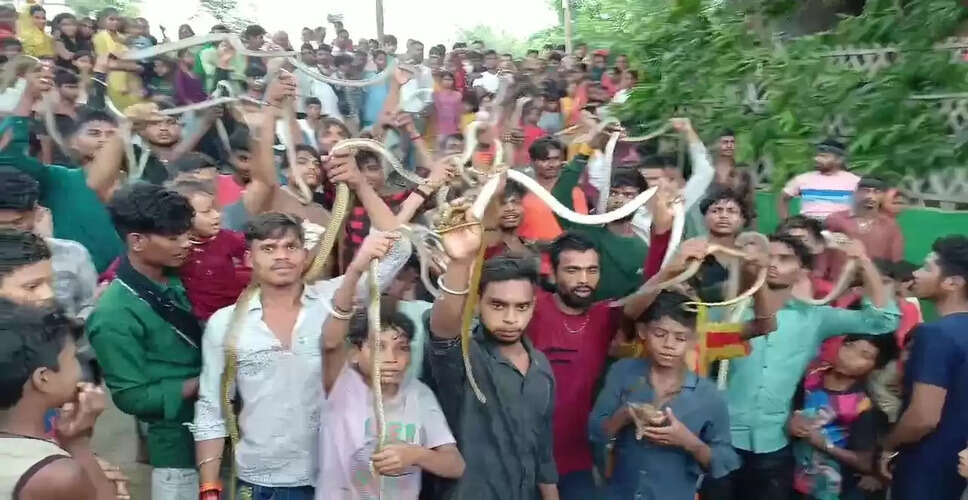 नवटोल गांव में नागपंचमी का अनोखा उत्सव: सांपों के मेले की 300 साल पुरानी परंपरा