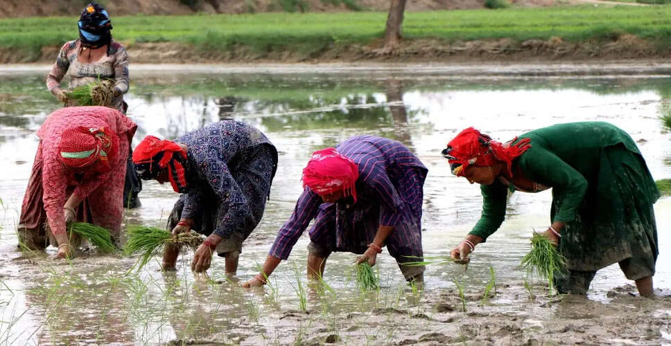 महाराष्ट्र की 'लाड़की बहिन योजना' में वित्तीय गड़बड़ियाँ उजागर