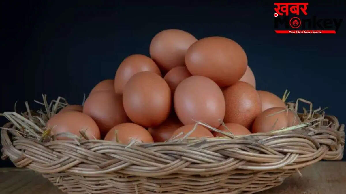 गर्मियों में अंडों को सुरक्षित रखने के उपाय