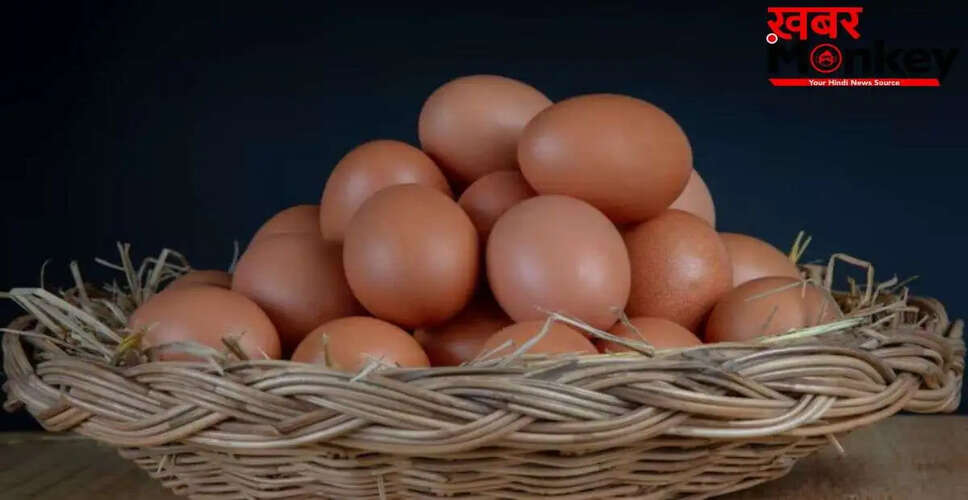 गर्मियों में अंडों को सुरक्षित रखने के उपाय