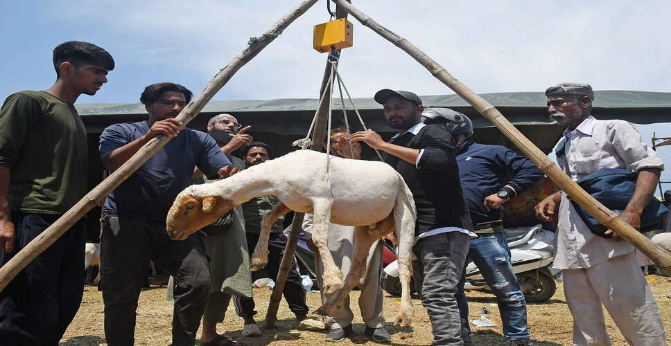 राजस्थान से यूएई को बकरियों का निर्यात बढ़ा, बकरीद पर खास मांग
