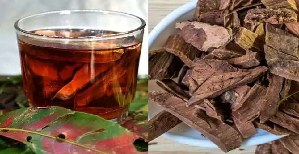 अर्जुन की छाल: हार्ट की समस्याओं का प्राकृतिक समाधान