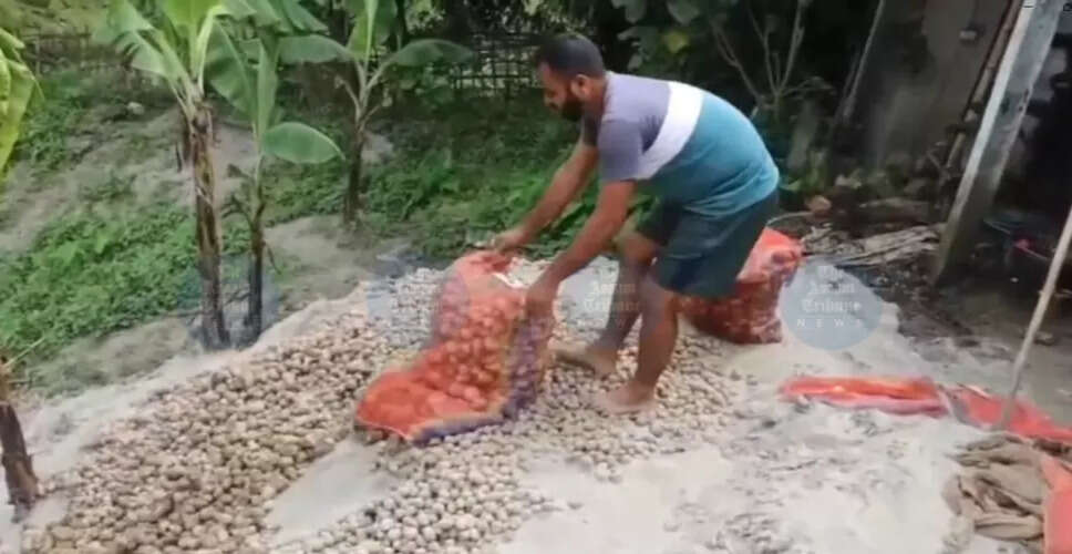 माजुली के किसानों की फसलें बर्बाद, सरकार से मदद की अपील