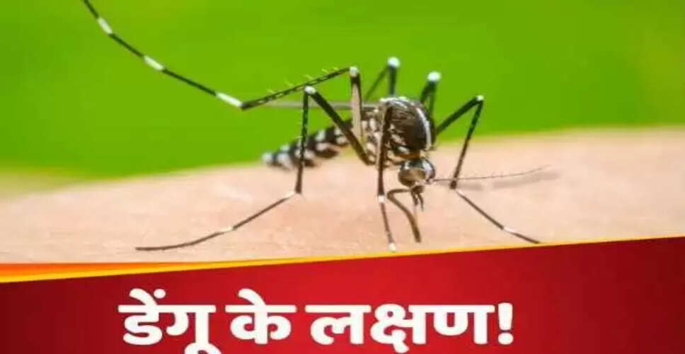 डेंगू के लक्षण: जानें कब डॉक्टर से संपर्क करें