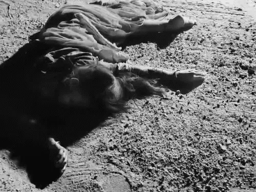 तेज रफ्तार स्कॉर्पियो की टक्कर में तीन बाइक सवारों की मौत