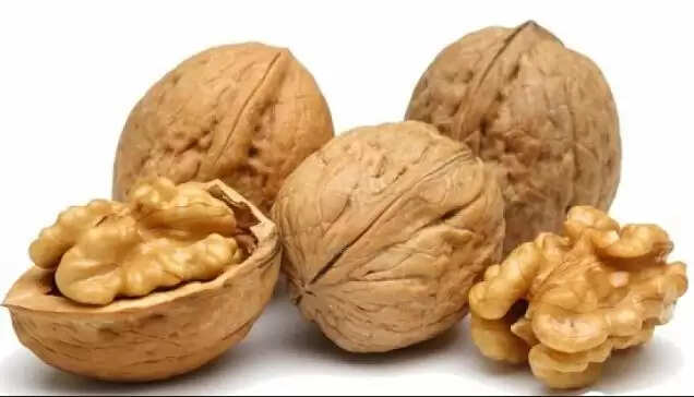 सर्दियों में सेहतमंद रहने के लिए खाएं ये 9 खाद्य पदार्थ