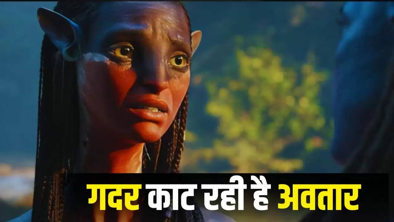 अवतार: फायर एंड ऐश ने बॉक्स ऑफिस पर मचाई धूम, जानें कमाई का हाल