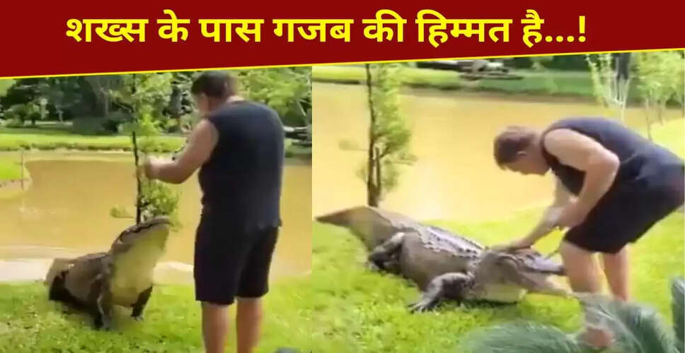 शख्स ने मगरमच्छ को खिलाया और सहलाया, वीडियो ने मचाई धूम