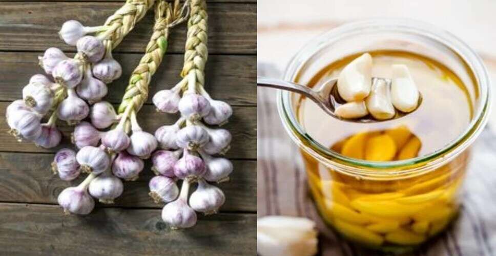 लहसुन के सेवन से होने वाले संभावित नुकसान