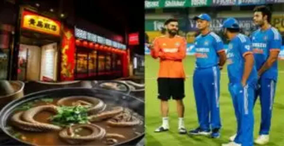 भारतीय खिलाड़ी के साथ हुआ अजीबोगरीब अनुभव, खाने की मेज पर आया जिंदा सांप