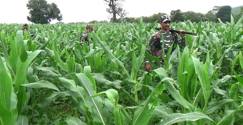छत्तीसगढ़ में सुरक्षाबलों ने मुठभेड़ में 5 लाख रुपये के इनामी नक्सली को ढेर किया
