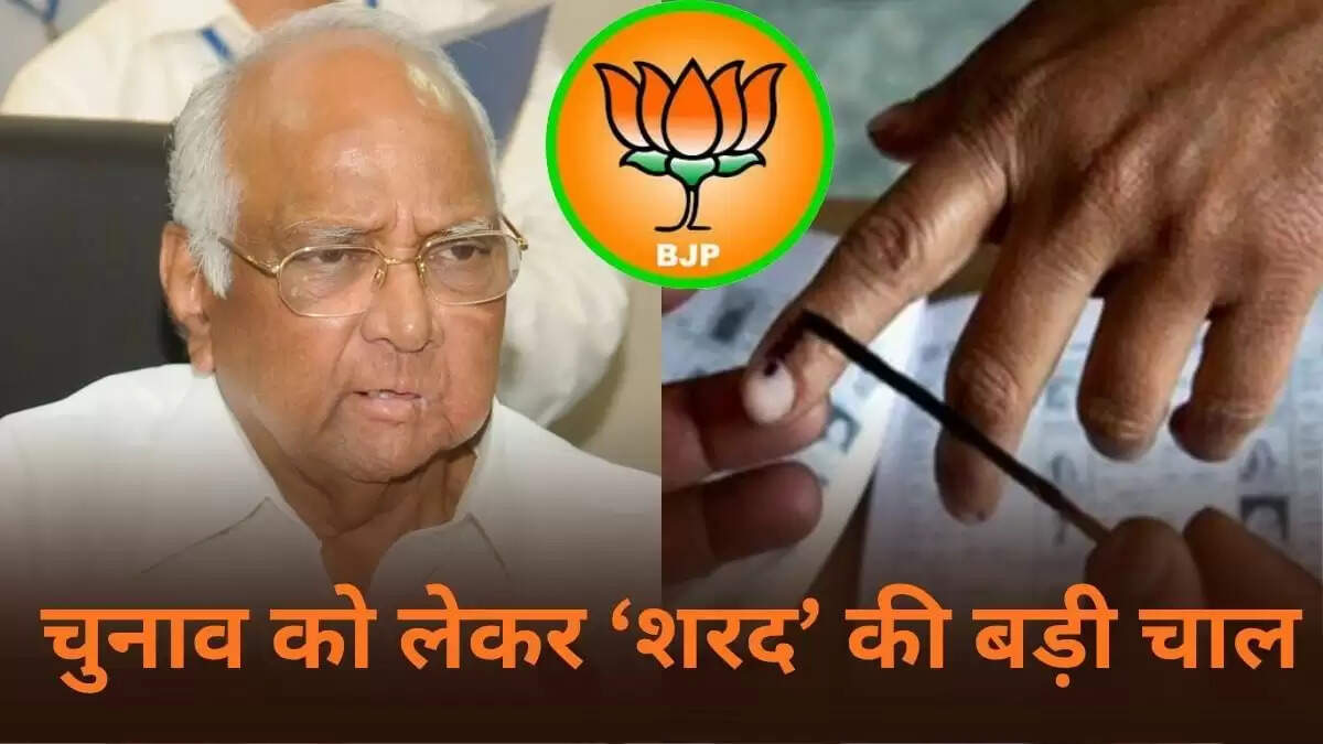 क्या NCP-SP गुट महाराष्ट्र के निकाय चुनावों में बदलाव लाएगा? शरद पवार का नया निर्णय
