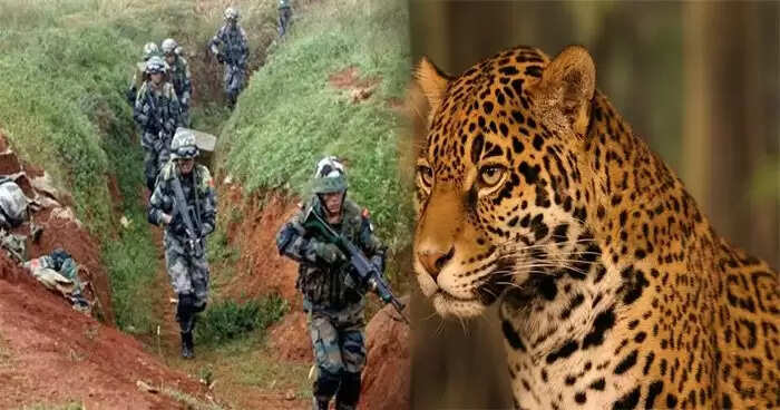 सर्जिकल स्ट्राइक के दौरान कुत्तों को चुप रखने की अनोखी तकनीक