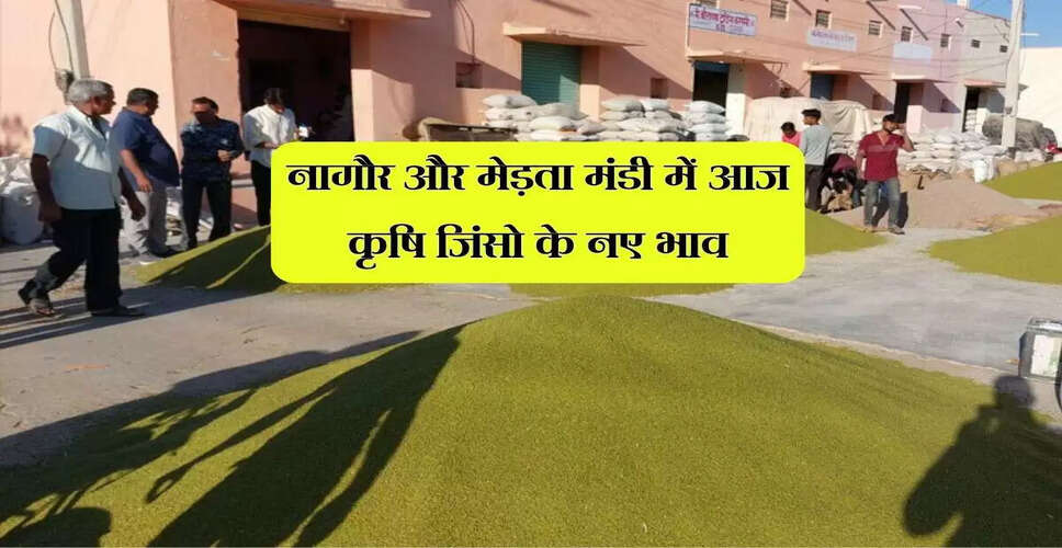 नागौर और मेड़ता मंडी में कृषि फसलों के भाव में सुधार