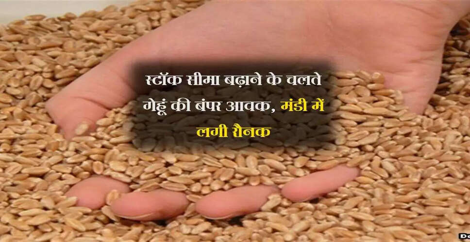 उज्जैन मंडी में गेहूं की आवक में वृद्धि, किसानों को हो रही परेशानी