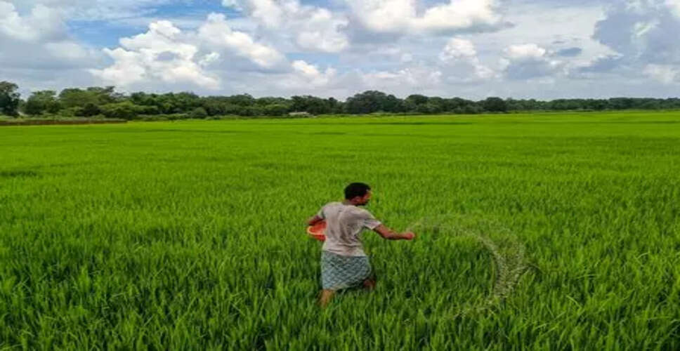 कृषि में AI का उपयोग: किसानों के लिए मौसम पूर्वानुमान में बदलाव