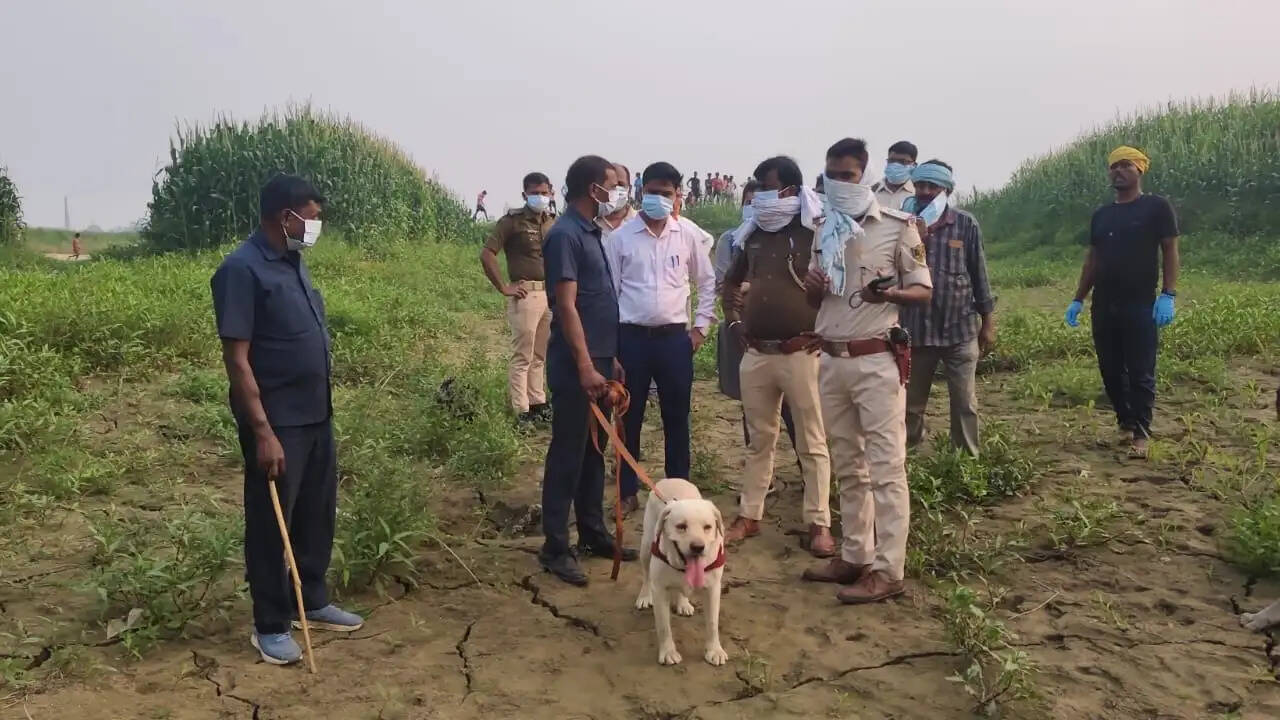 भागलपुर में युवक की नृशंस हत्या, शव के पांच टुकड़े मिले