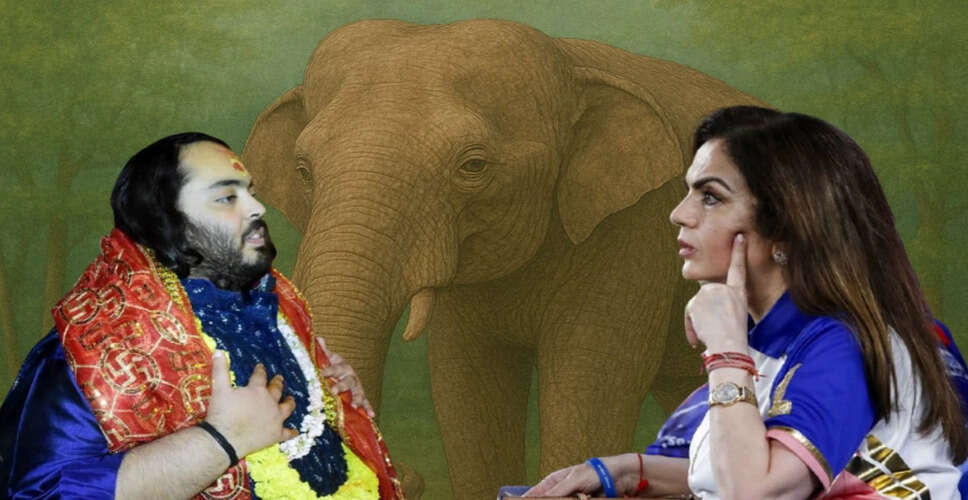 कोल्हापुर में हाथी माधुरी के लिए प्रदर्शन, जियो का बहिष्कार