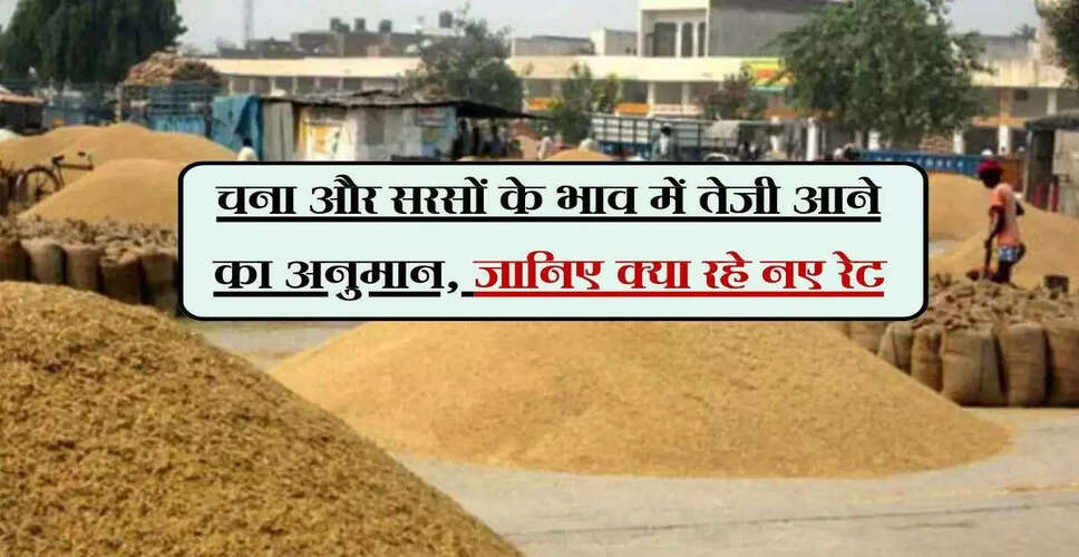 अलवर मंडी में सरसों के भाव में तेजी, चना और गेहूं में गिरावट
